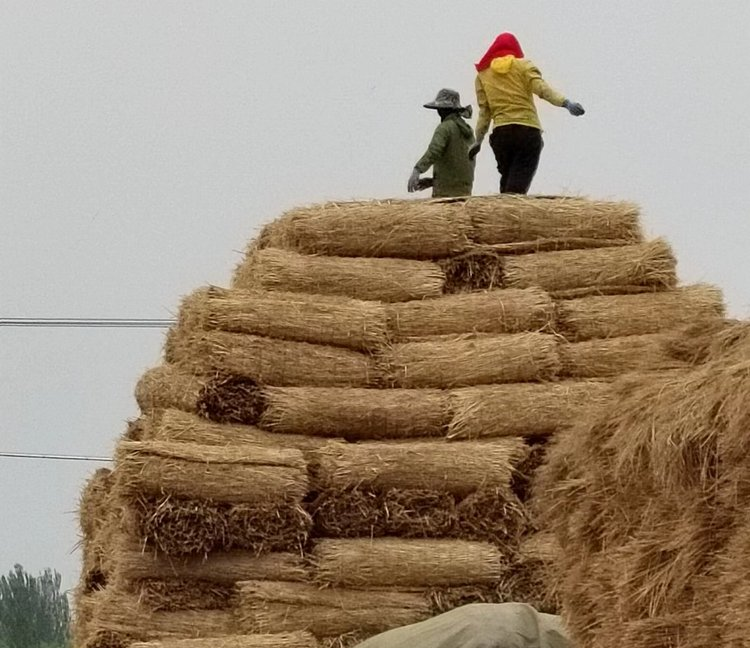 草制品加工